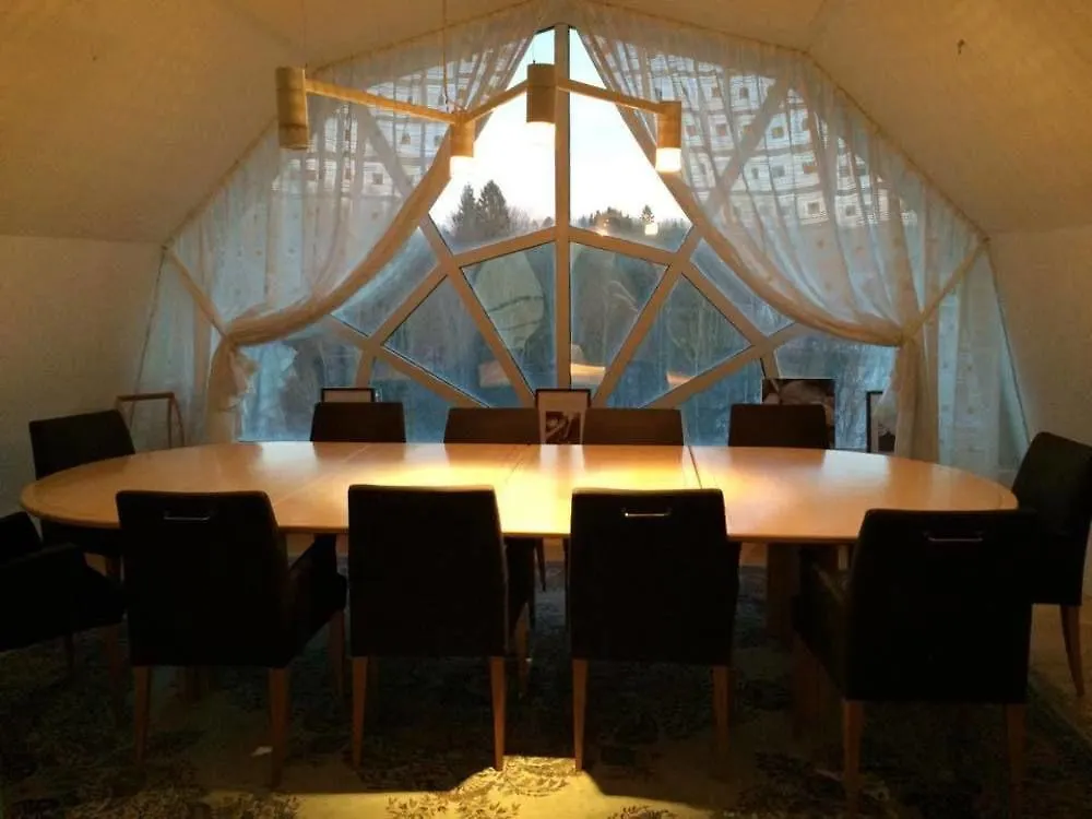 Hotel Manen Kungens Kurva Suède